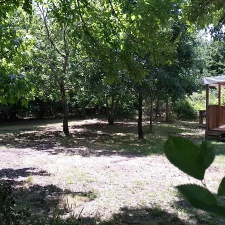 Baradis مكان تخييم *